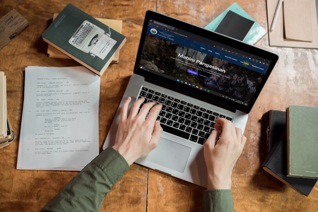 government website